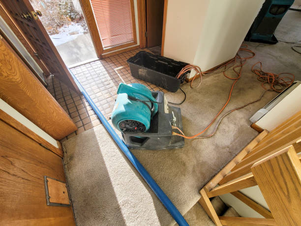 Best Residential water damage restoration  in Whitemarsh Island, GA