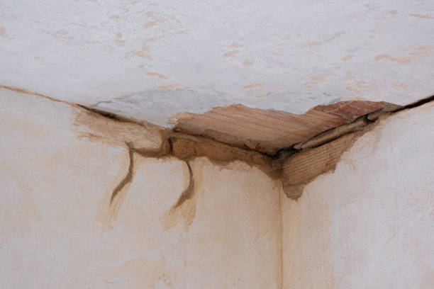 Best Water damage cleanup near me  in Whitemarsh Island, GA
