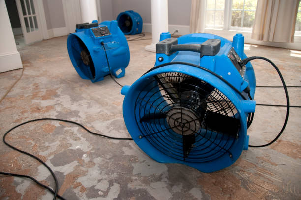 Best Mold removal after water damage  in Whitemarsh Island, GA