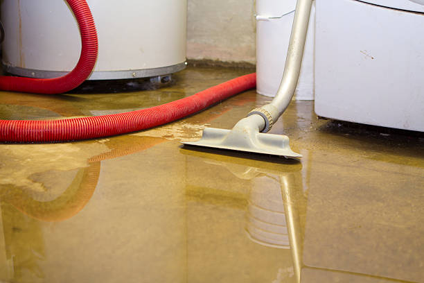  Whitemarsh Island, GA Water damage restoration Pros