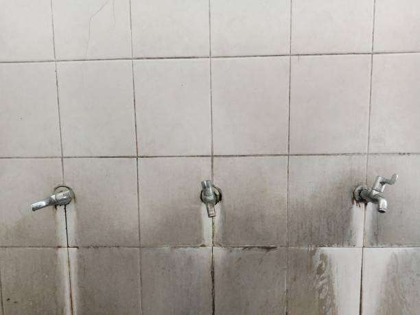 Best Emergency water damage restoration  in Whitemarsh Island, GA
