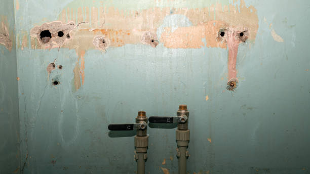Best 24-hour water damage restoration  in Whitemarsh Island, GA