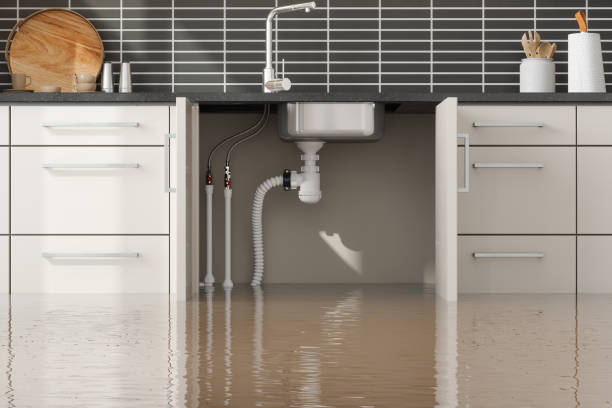 Best Flood restoration services  in Whitemarsh Island, GA