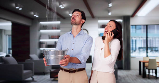 Best Local water damage restoration  in Whitemarsh Island, GA