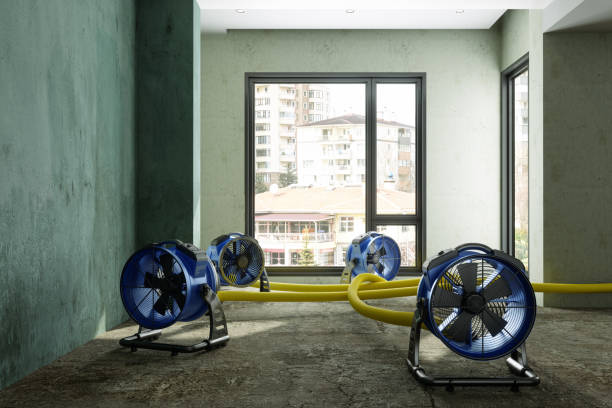 Best Mold removal after water damage  in Whitemarsh Island, GA