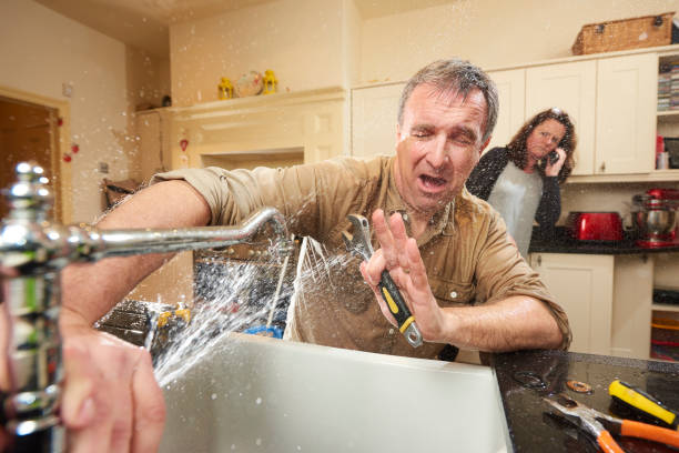 Best Carpet water damage restoration  in Whitemarsh Island, GA